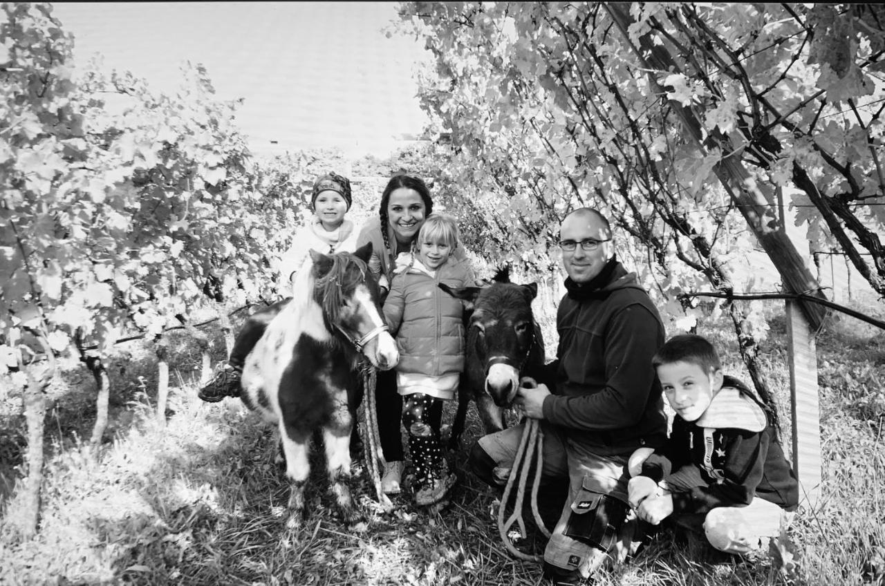 Agritur Maso Librar *