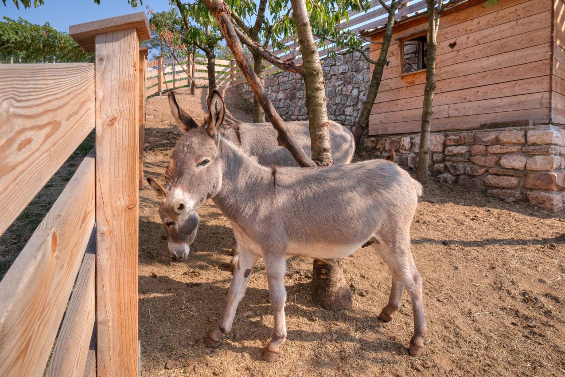 Agritur Maso Librar Estadia no rancho